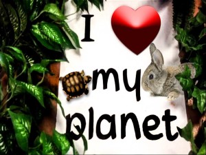 Baby Animals Love the Earth